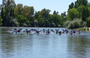 Palistas locales se lucieron en la Regata de la Ribera