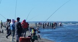 Punta Verde presentó su calendario para el 2026