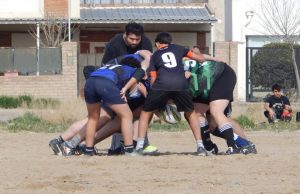 Rugby: Albatros y Los Dinos presentes en un torneo amistoso en Villa Regina