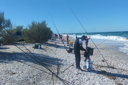 Punta Verde: así quedaron los rankings tras la tercera fecha del campeonato de pesca