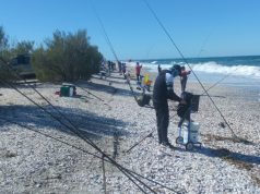Resultados de la 4ta fecha del Ranking del Club de Pescadores Punta Verde