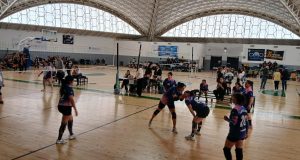 Copa Challenger del Golfo: más de 300 jugadores de Newcom en Las Grutas